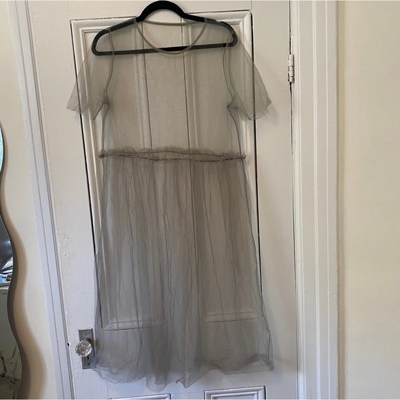 Sheer Chiffon Dress - Picture 1 of 5